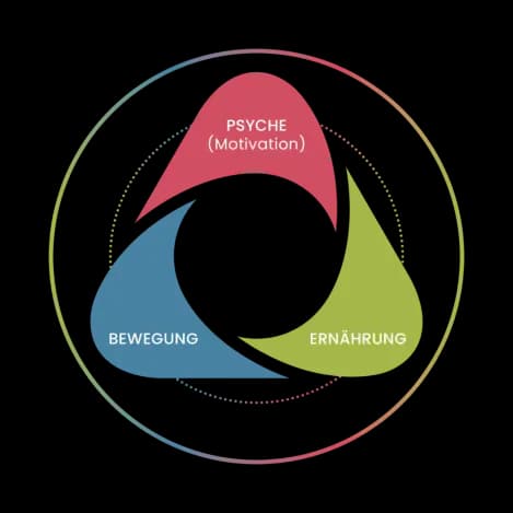 Grafik: Kreislauf aus drei Säulen: Psyche (Motivation), Bewegung und Ernährung, miteinander verbunden.
